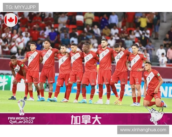 足球界新星崛起：挑战传统强队地位的黑马们