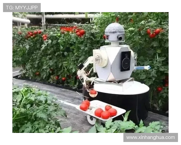 重磅专题:探索IG在数字时代的控制革新与未来发展路径