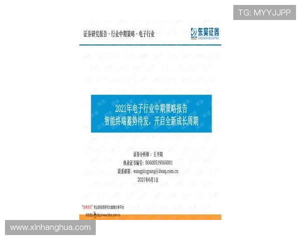 《探究Bin上单的成长历程与电竞职业生涯,解锁背后的策略与心路历程》